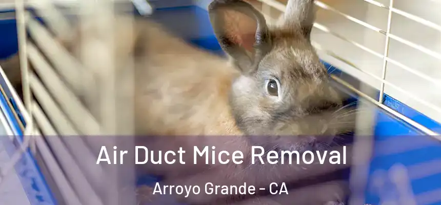  Air Duct Mice Removal Arroyo Grande - CA