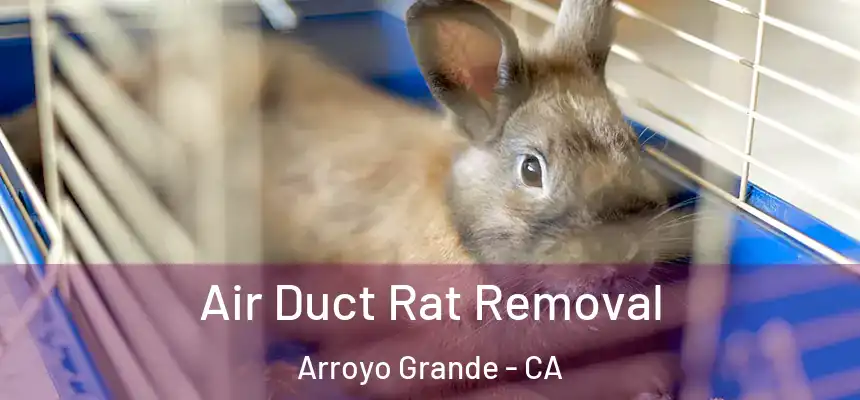  Air Duct Rat Removal Arroyo Grande - CA