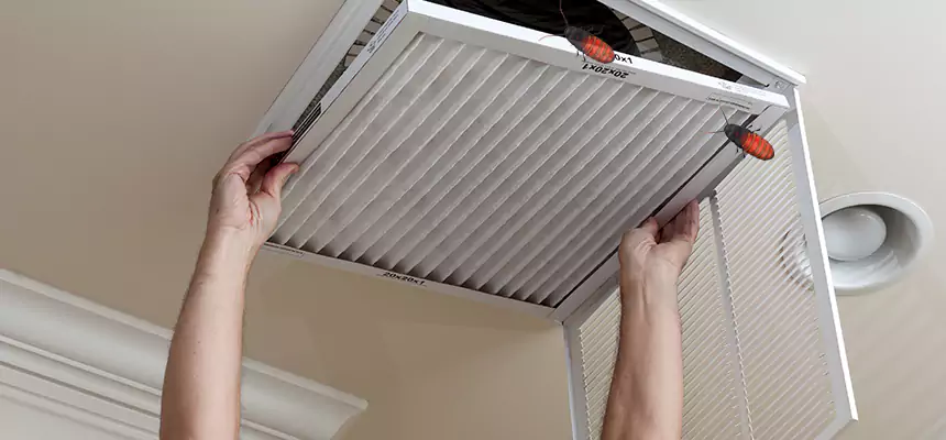 Preventive Cockroach-Proofing for Ducts in Arroyo Grande