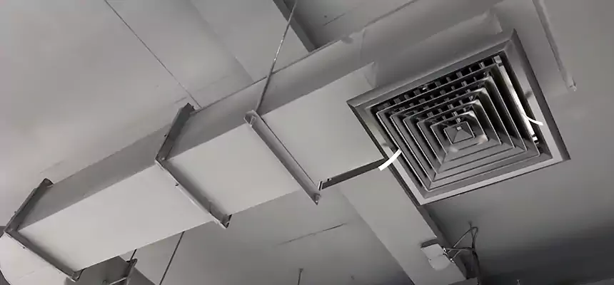 Our Pest Removal From Ducts Services in Arroyo Grande, CA