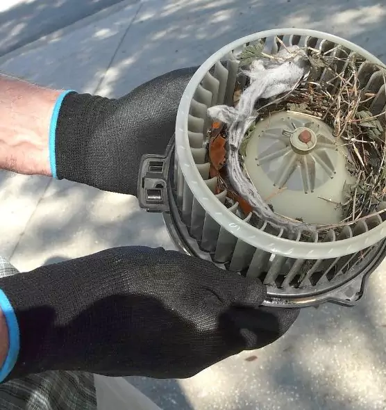 About Air Duct Rat Removal in Arroyo Grande, CA