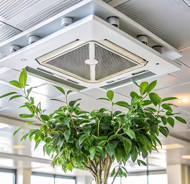 Why Homeowners & Businesses Trust Us in Arroyo Grande, CA