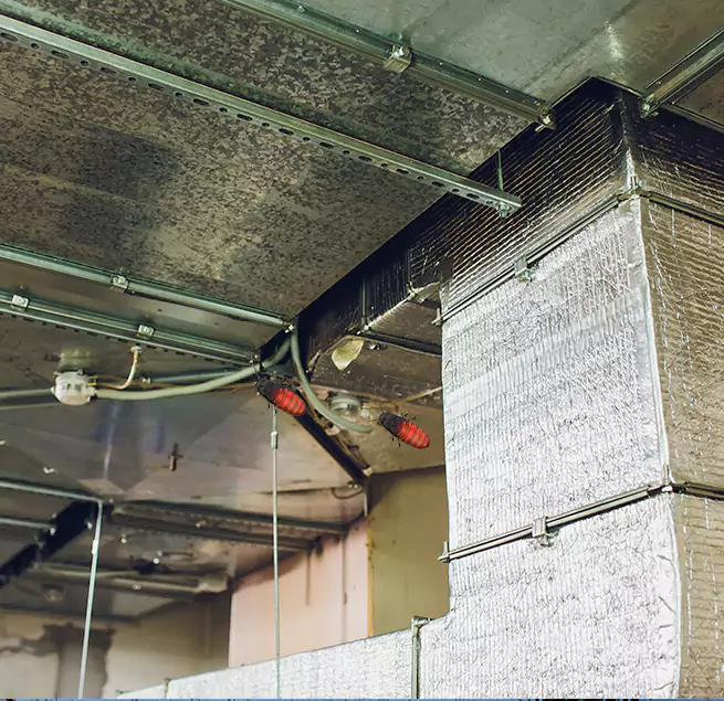 Why Homeowners & Businesses Trust Us Arroyo Grande, CA?